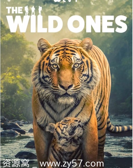 英国纪录片《野性生灵》2025在线观看高清资源分享 - 零零盘