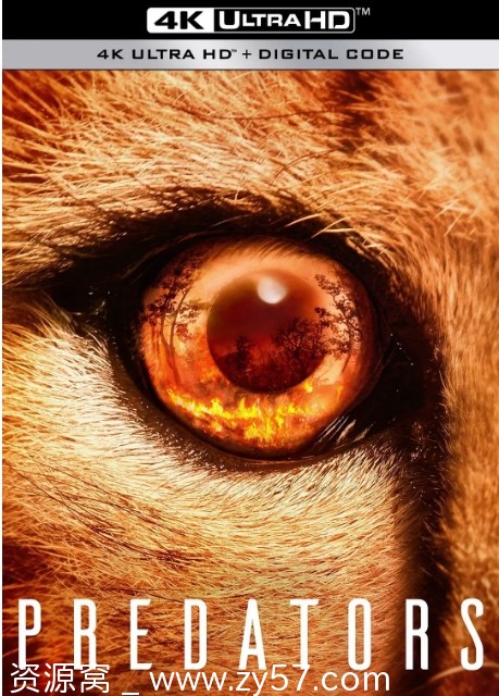 食肉动物 Predators 海报