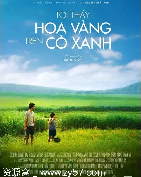 越南电影《绿地黄花》2015剧情解析 家庭儿童题材 豆瓣评分7.9 - 零零盘