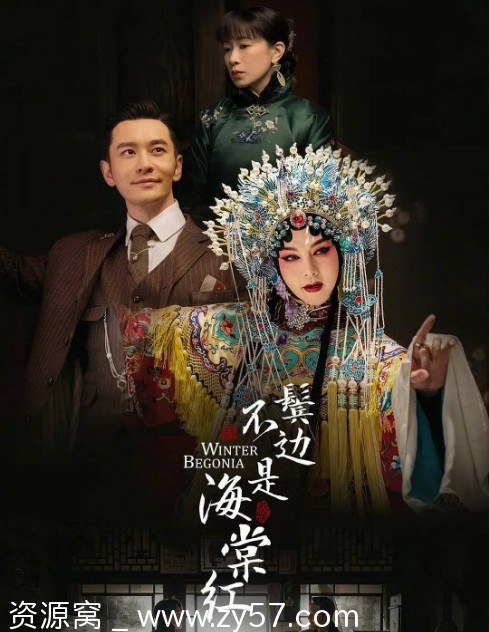 鬓边不是海棠红海报