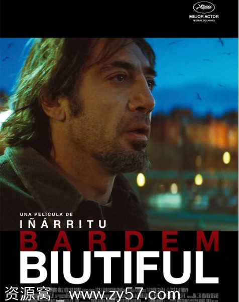 电影《美错》海报