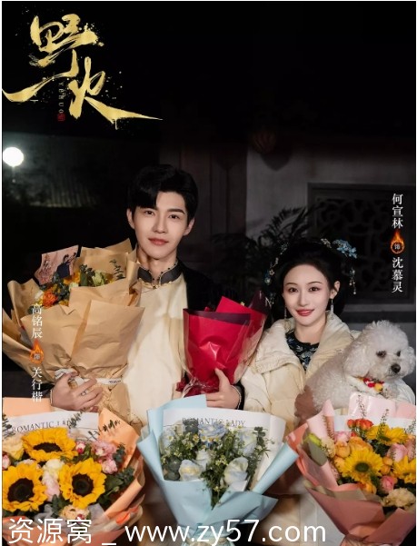 国剧《野火》2025年爱情短剧免费观看 - 零零盘