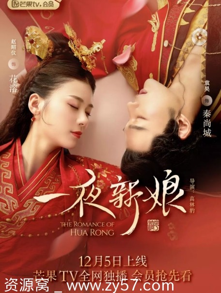 国剧一夜新娘1-2季2019-2022完整版 爱情古装剧 豆瓣评分5.7 - 零零盘