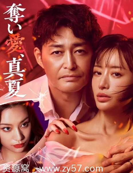 夺爱仲夏海报