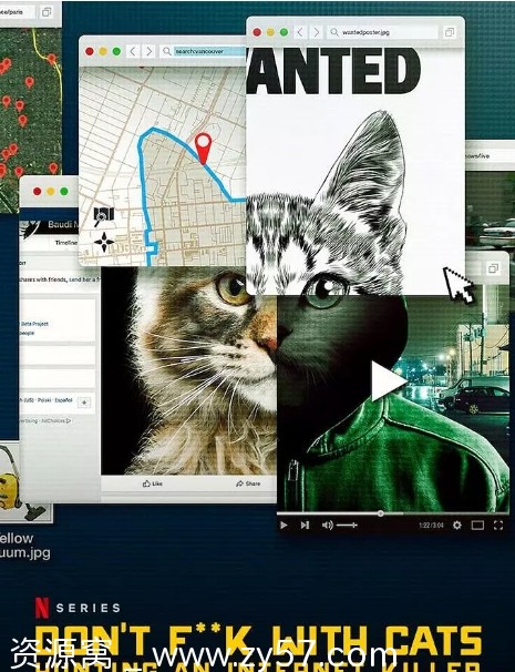 英国纪录片《别惹猫咪》追捕虐猫者2019豆瓣8.3分高清资源分享 - 零零盘