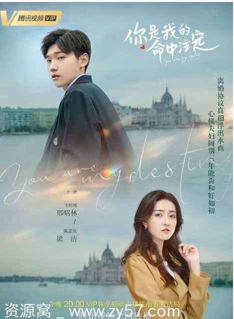 国内爱情剧推荐 《你是我的命中注定》2020全集在线观看 - 零零盘