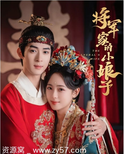 将军家的小娘子海报