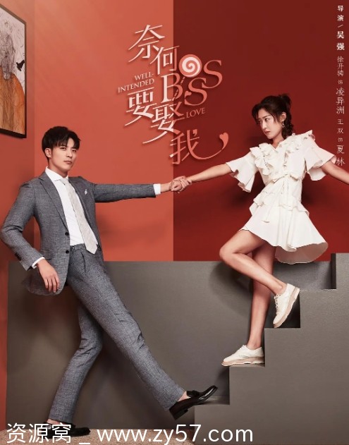 国内爱情剧推荐 《奈何boss要娶我》2019豆瓣6.5分剧集下载 - 零零盘