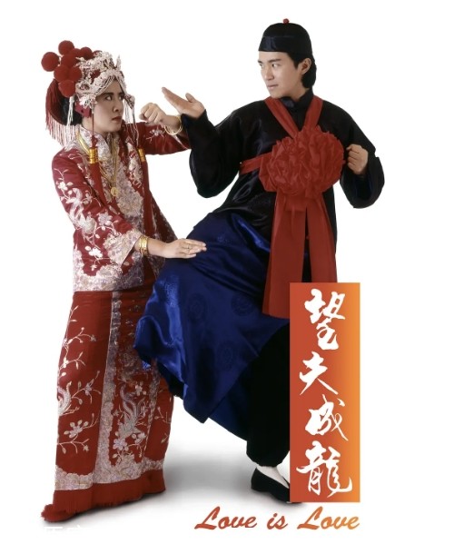 望夫成龙电影海报