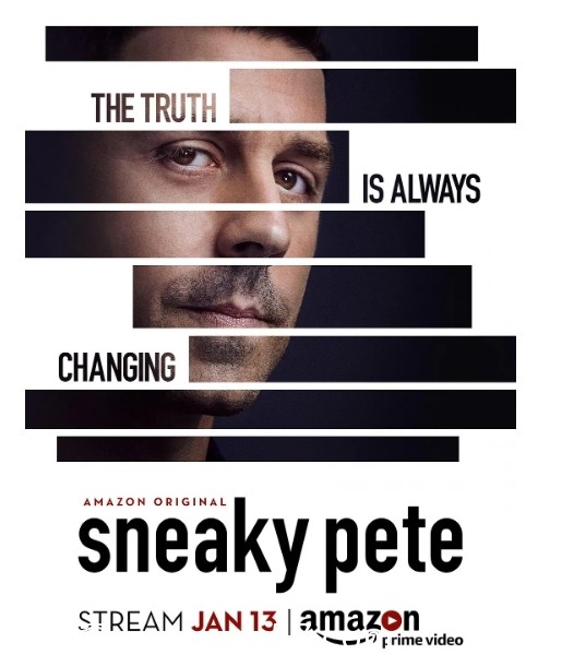 诈欺担保人第一季海报