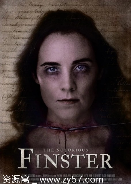 连环杀手芬斯特海报