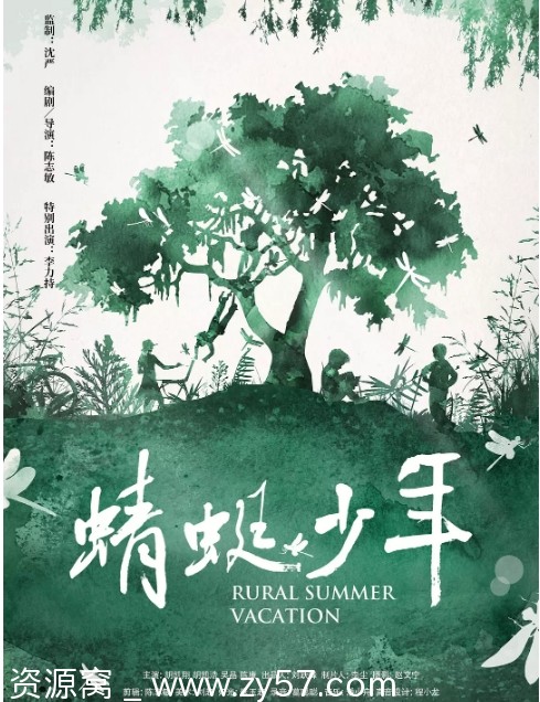 国内剧情/儿童电影《蜻蜓少年》（2019）豆瓣评分7.5高清资源分享 - 零零盘