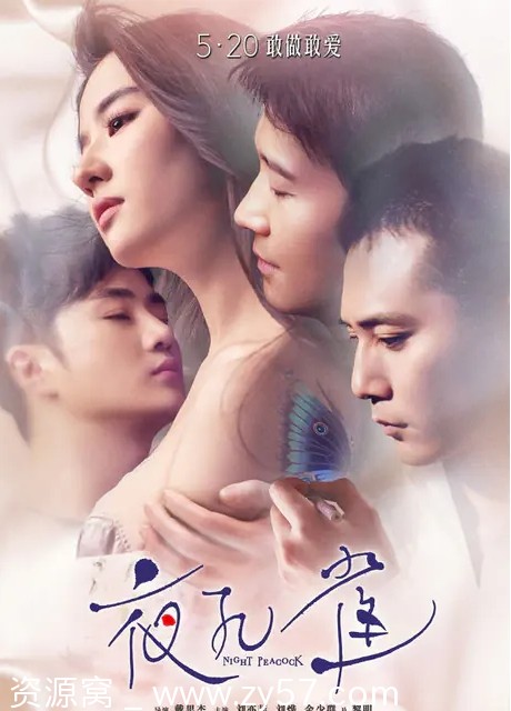 电影《夜孔雀》海报