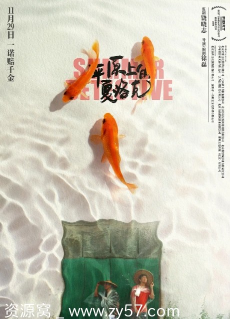 平原上的夏洛克海报