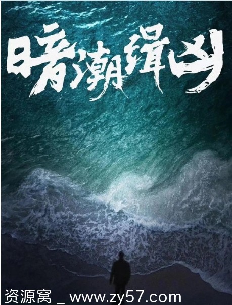 暗潮缉凶海报