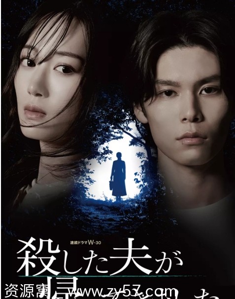 被杀了的丈夫回来了 海报