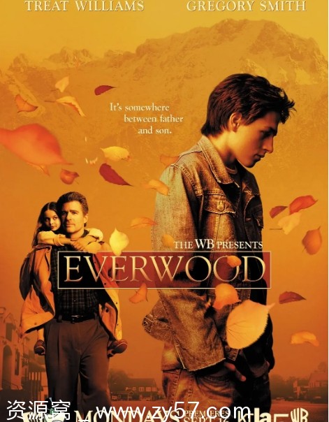 美剧推荐雪山镇1-4季全集剧情解析豆瓣评分8.6 - 零零盘