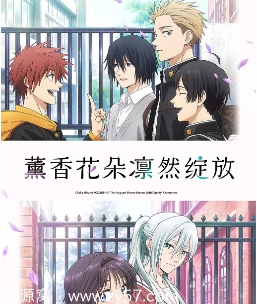 日剧动漫《薰香花朵凛然绽放》2025喜剧爱情动画豆瓣8.3高清资源分享 - 零零盘