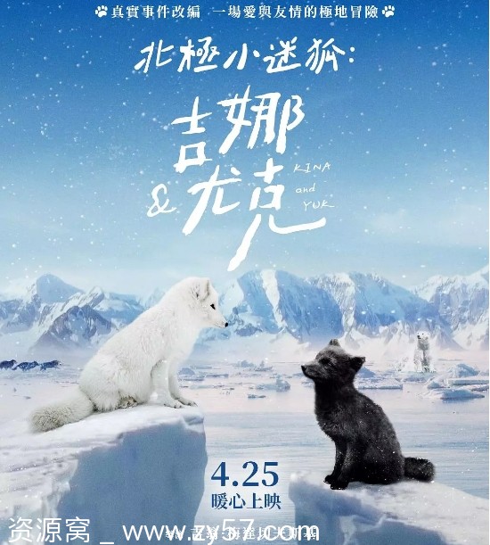 法国纪录片《北极小迷狐吉娜和尤克》2023剧情解析 家庭冒险深度解读 - 零零盘