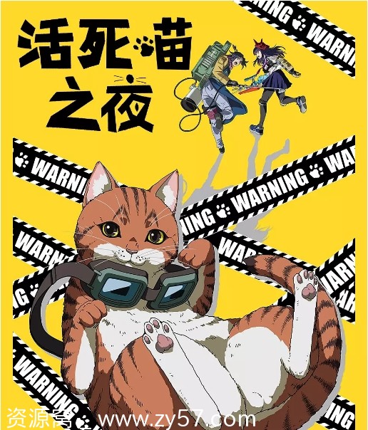日剧《活死喵之夜》2025年喜剧动画奇幻豆瓣评分6.1 - 零零盘