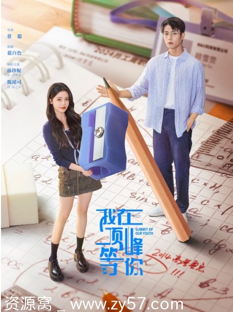 我在顶峰等你海报