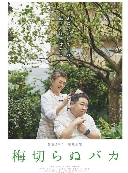 不砍梅树的傻瓜电影海报