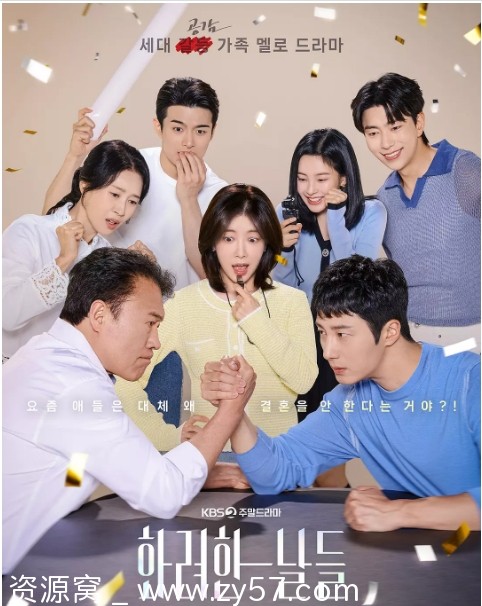 华丽的日子海报