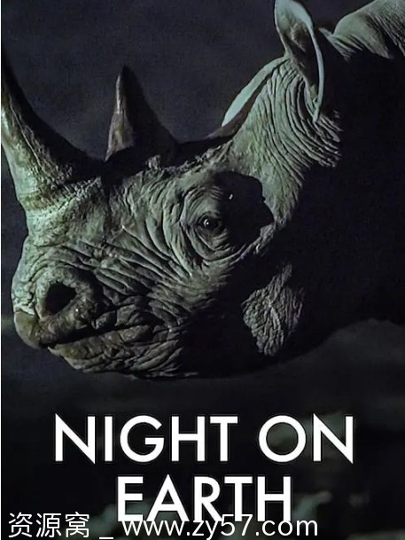 免费观看英国纪录片《地球的夜晚》（2020）豆瓣9.2高清完整版 - 零零盘