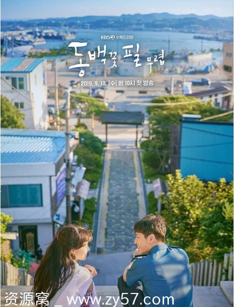 山茶花开时海报