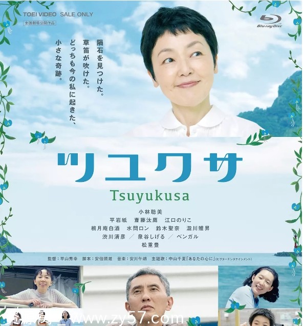 电影《鸭跖草》海报