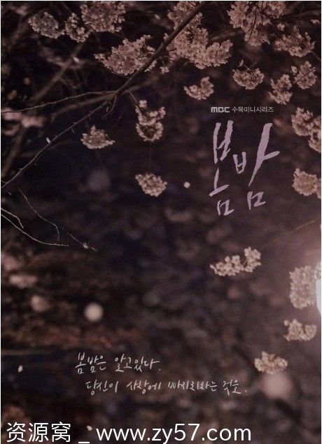 韩剧推荐春夜2019豆瓣8.4高分剧集分享 - 零零盘