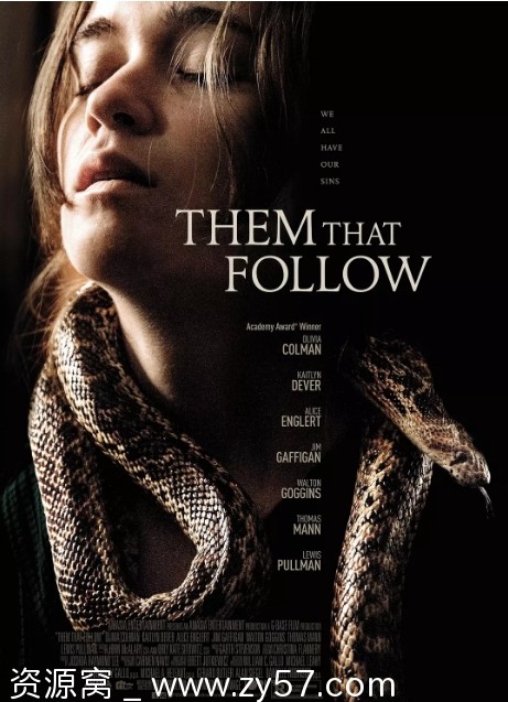 追随者电影海报