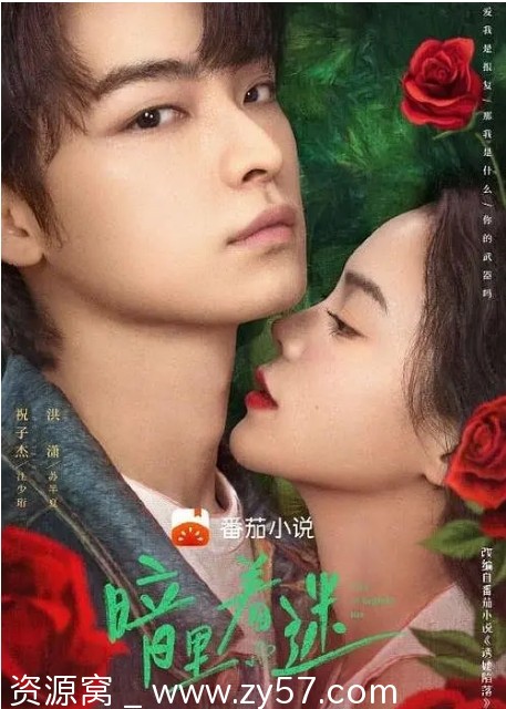 暗里着迷剧集海报