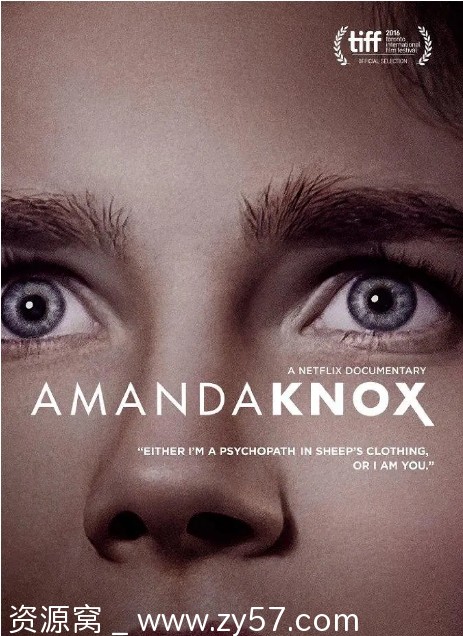 阿曼达·诺克斯纪录片海报