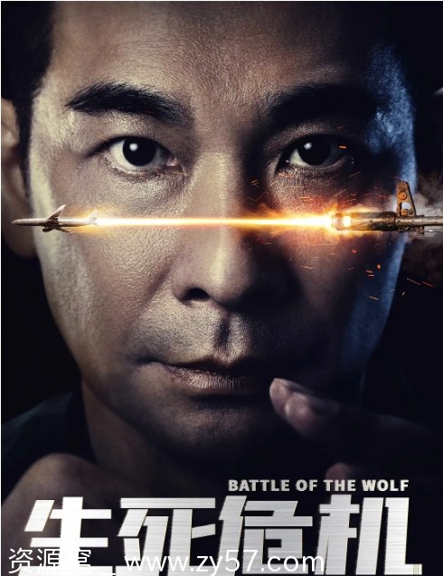 《生死危机》2025年上映动作犯罪片在线观看资源分享 - 零零盘