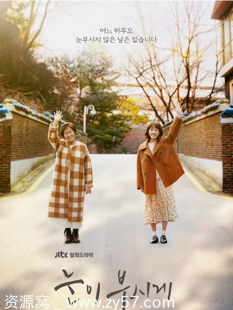 耀眼 电视剧海报