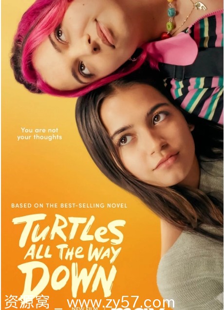 美国电影《刨根问底》2024剧情解析 爱情题材豆瓣评分6.2 - 零零盘