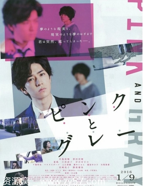 粉与灰电影海报