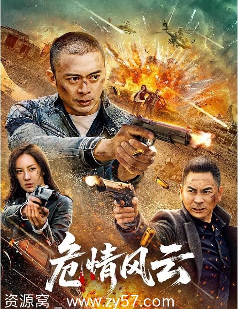 高清完整版国内动作电影《危情风云》（2025）在线观看 - 零零盘