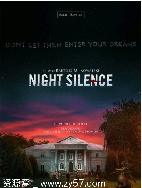 电影《寂静之夜》海报