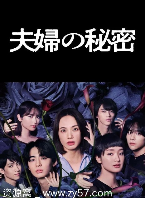 夫妇的秘密海报