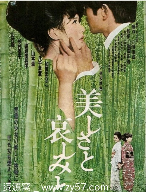 美丽与哀伤电影海报