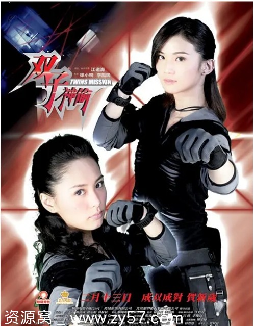 双子神偷电影海报