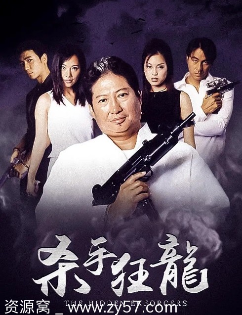 香港电影《杀手狂龙》（2002）动作电影资源分享 豆瓣评分5.0 - 零零盘