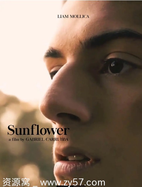 澳大利亚电影《向日葵》2023剧情解析分享 - 零零盘