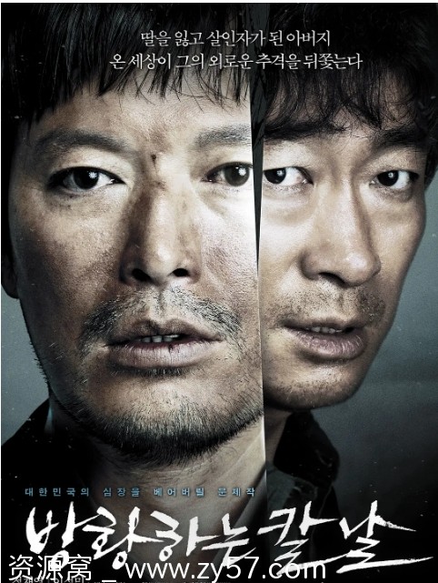 彷徨之刃电影海报