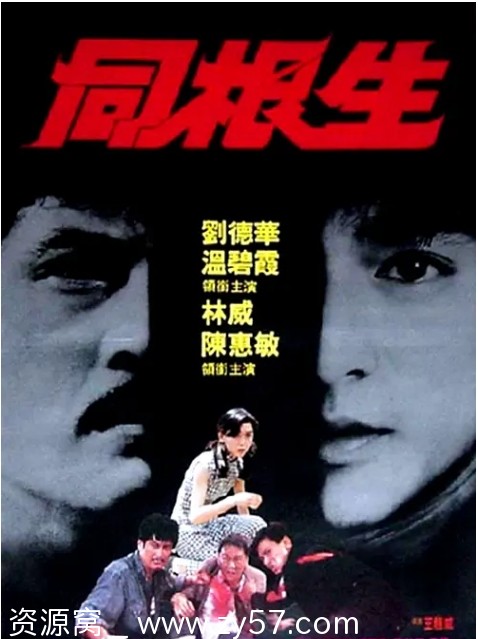 电影《同根生》海报或剧照