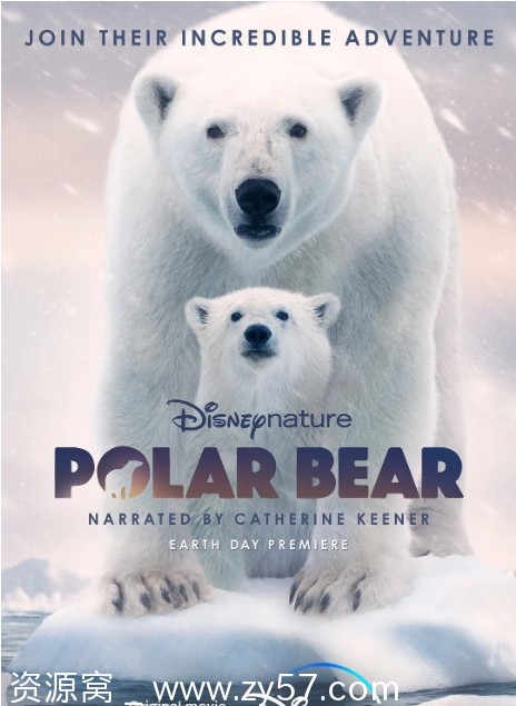 美国纪录片《北极熊》2022豆瓣8.4分高清资源分享 - 零零盘