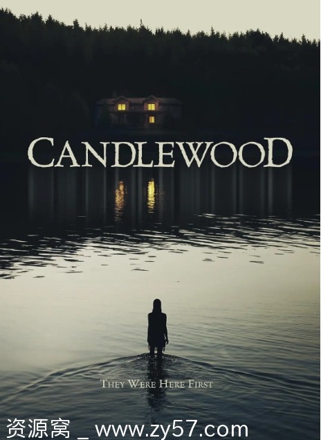 烛影危林电影海报