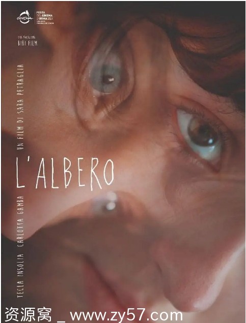 电影《树》海报